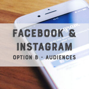 Facebook / Instagram Option B Look a Like Audiences Feature